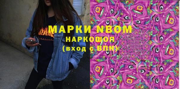 сатива Ачинск