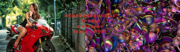 стаф Снежногорск