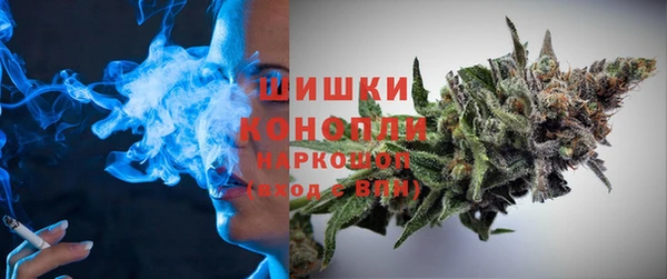 стаф Снежногорск
